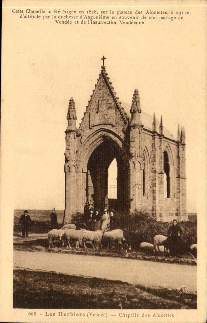 Wolbung der Herbaria-CPA der Lerchen (Schafe)