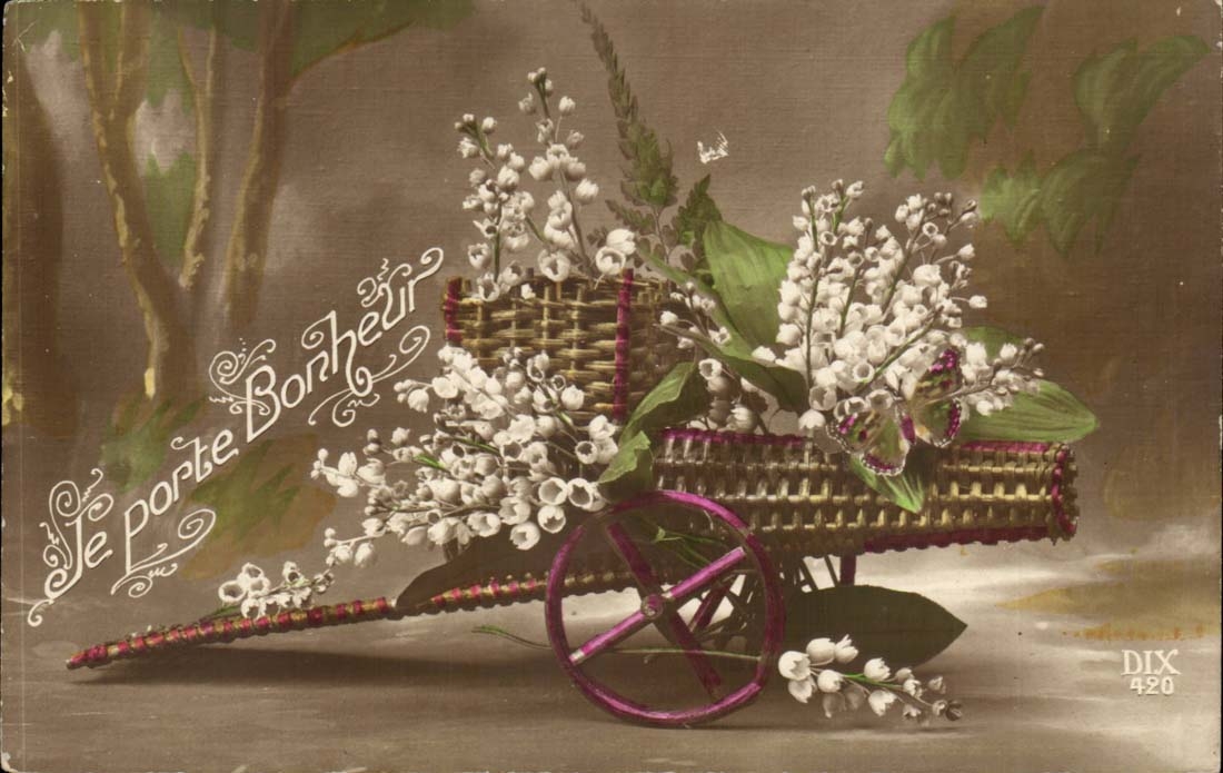 CPA Fantasy carries It happiness