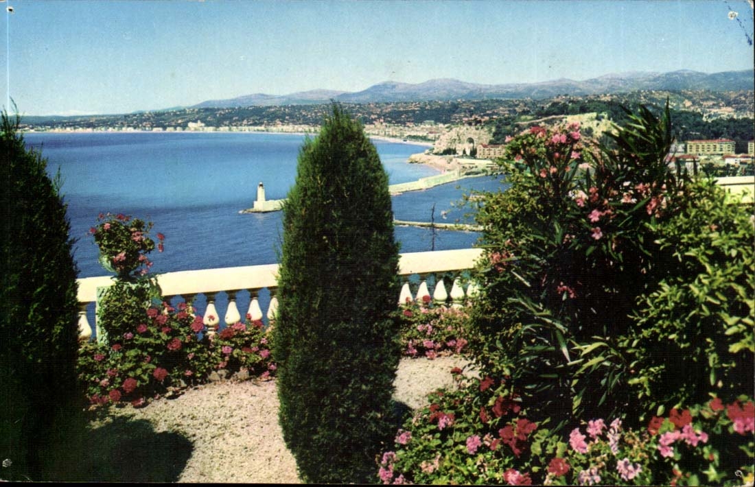 Nice MODERN CARD View