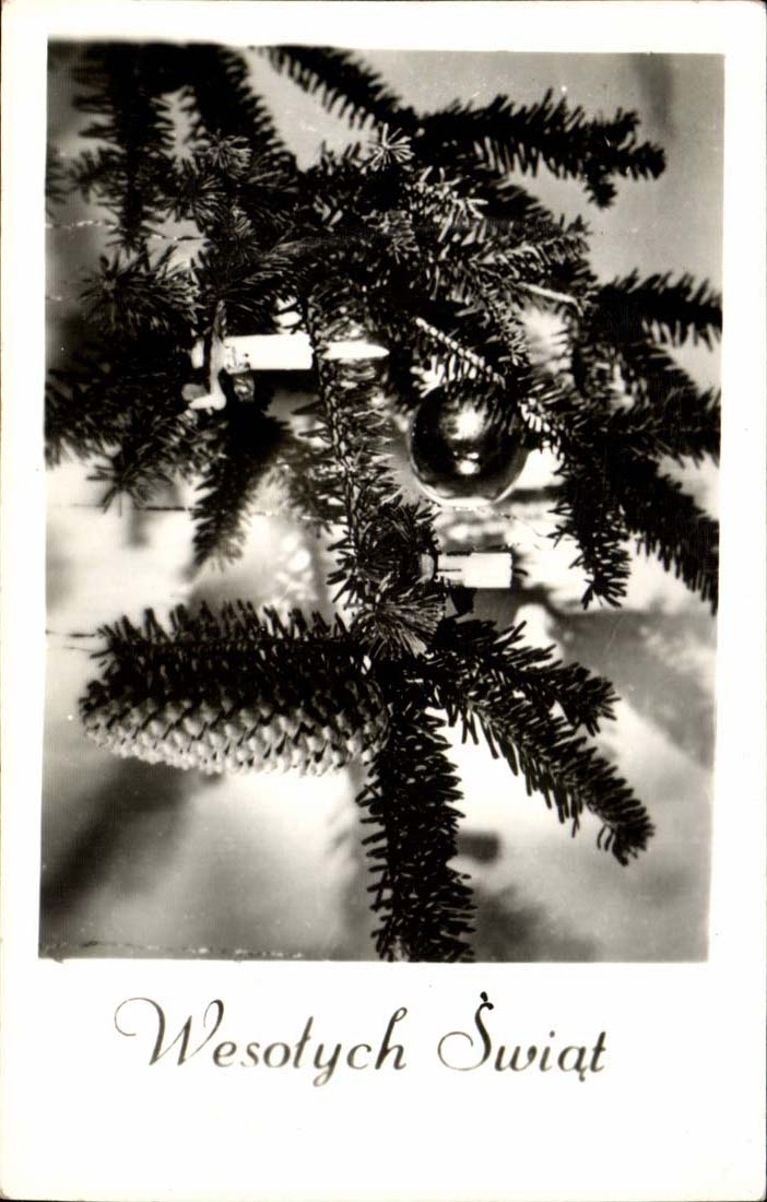 CPA Wesotych Swiat Wunsche