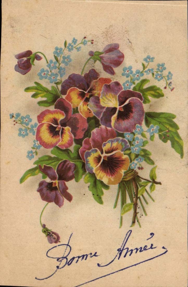 CPA Fantasy Happy New Year