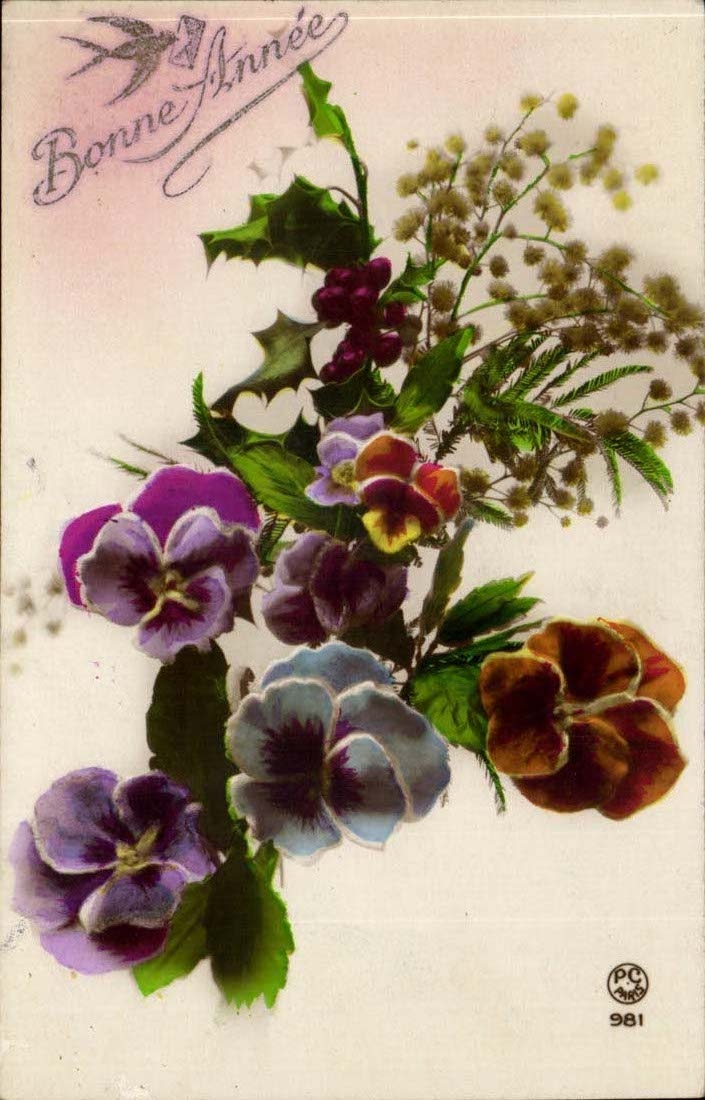 CPA Fantasy Happy New Year