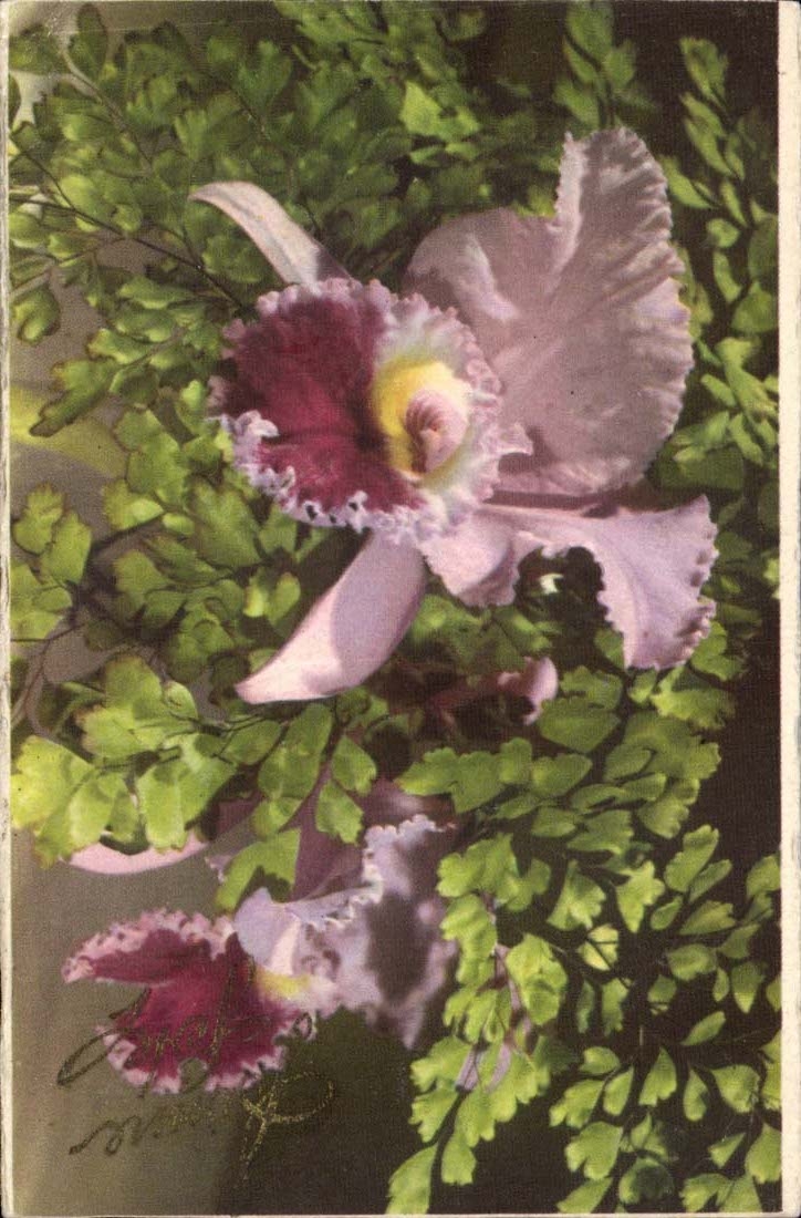 CPA Good Fantasy celebrates