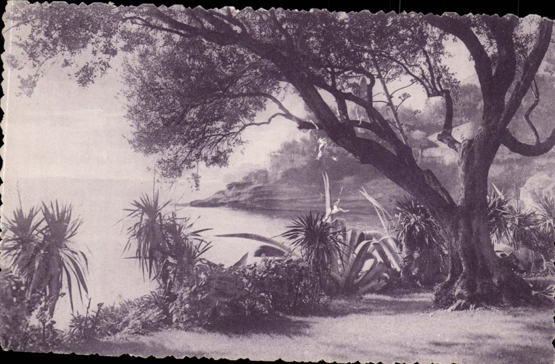 Roquebrune CPA Jardins der Stadt setzte Del Mare