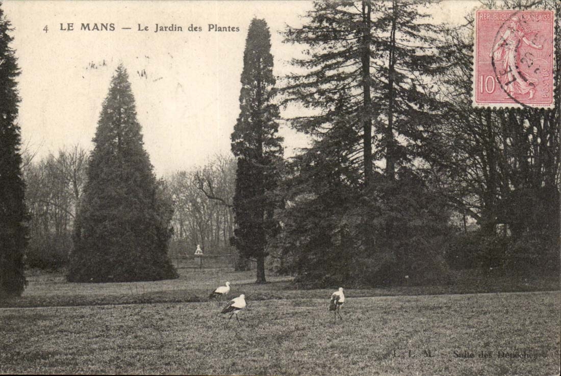 CPA Mans the botanical garden storks stork