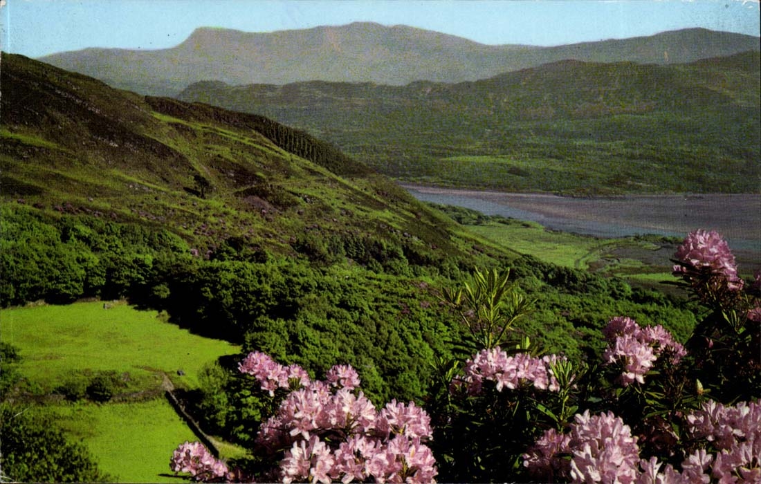 England - England The Mawddach Estuary - Barmouth - CPA