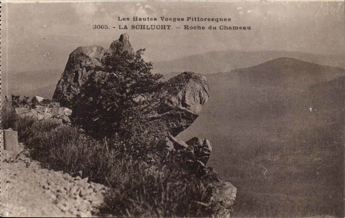 Schlucht - Felsen des Kamels - CPA