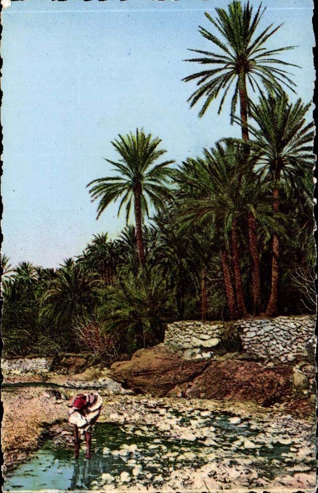 Scenes and type of North Africa Algeria El Kantara In the river