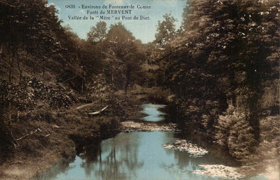 Fontenay the Count - Drill of Mervent - Valley of the Mother to the Bridge of Diet - CPA