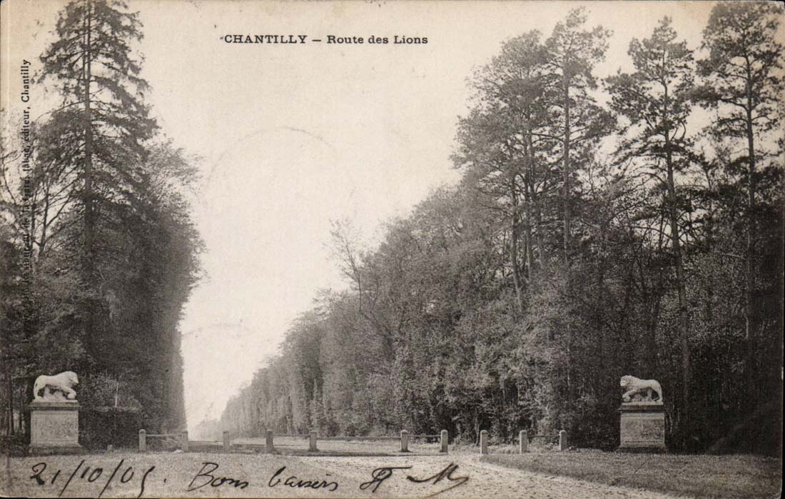 Chantilly - Road of the Lions - CPA
