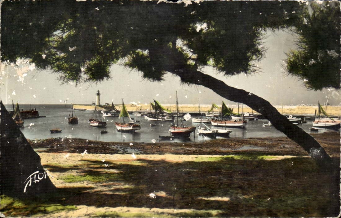 Island of oleron MODERN CARD (boats)