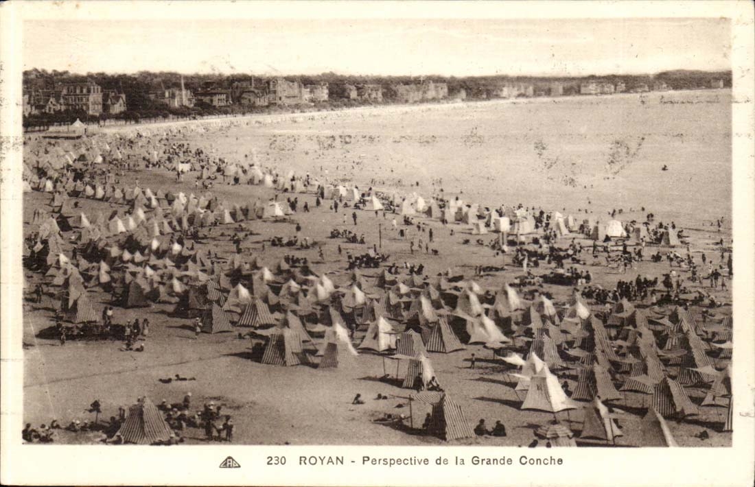 Royan CPA Perspective of has large conche