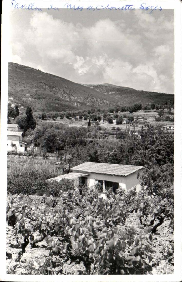 MODERNES KARTE Haus der Wand der klugen Eulen