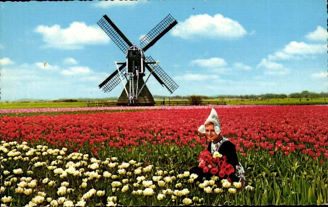 The Netherlands Holland Bloemenland Molenland (Mill millet)