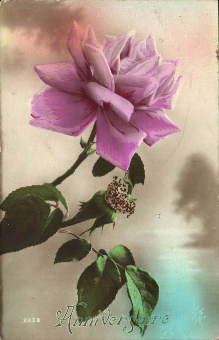 CPA Fantasy Flower Pink Birthday