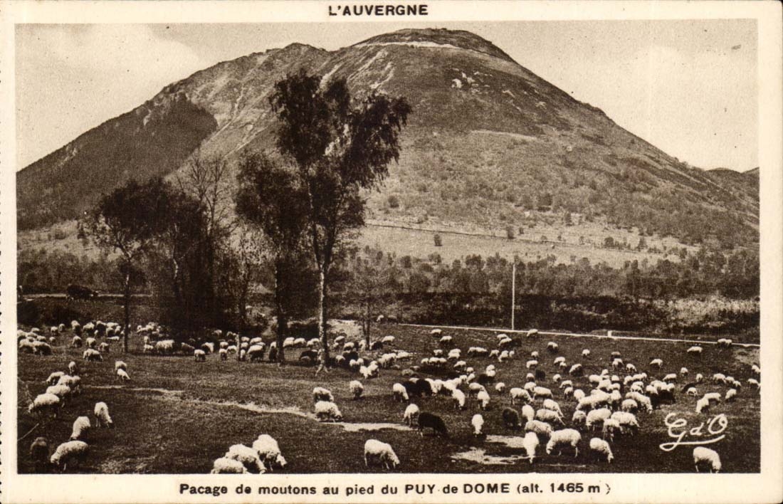 Auvergne CPA Pasturage of sheep to the foot of Puy de Dome