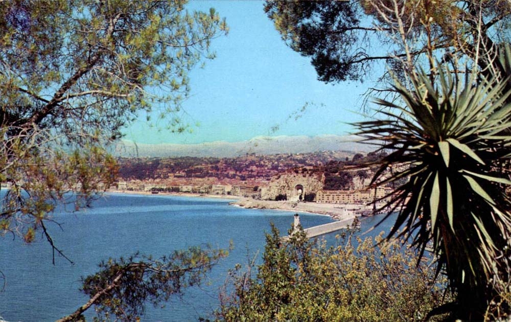 Nice MODERN CARD View