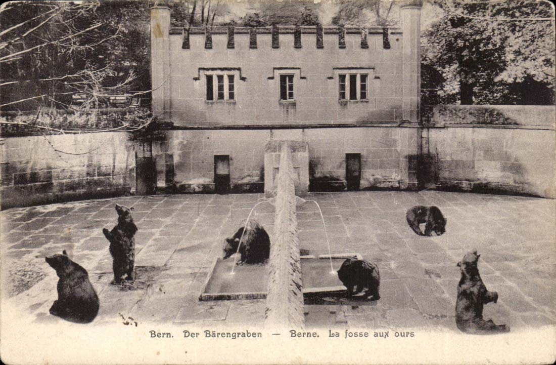 Switzerland - Bern - Baerengraben the Bear pit - CPA
