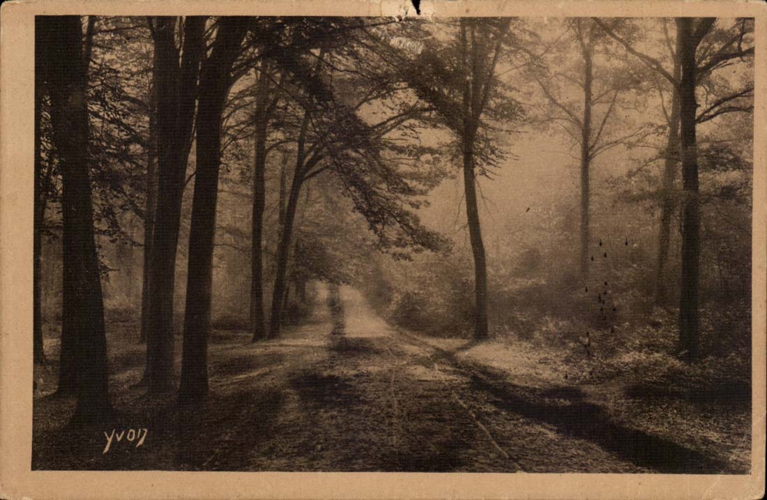 Chausse de l'etang de Trivaux qui conduit a l'Etang de Vilebon Foret de Mendon - CPA