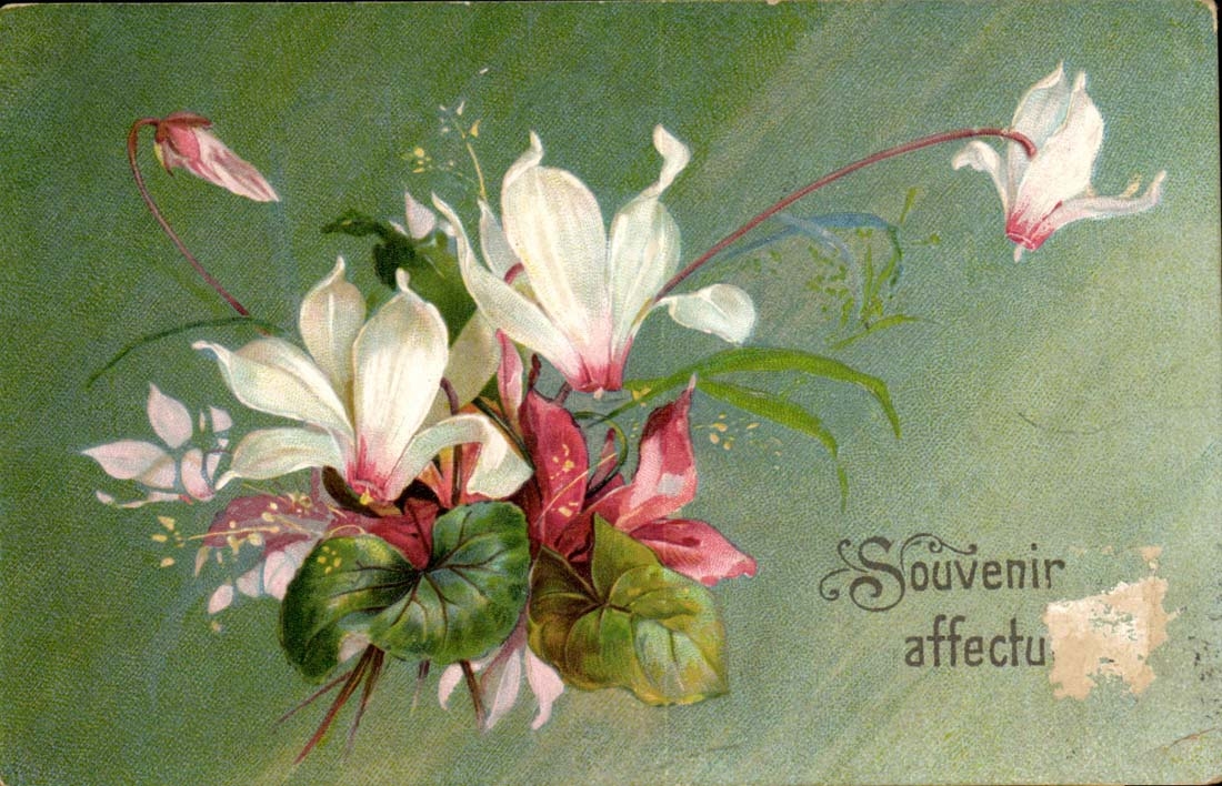 Phantasie - Blumen - Andenken - CPA