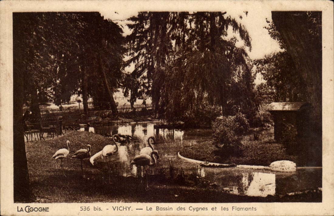 Vichy - the Basin of the Swans and Flamingos - swans and flamingoes - CPA