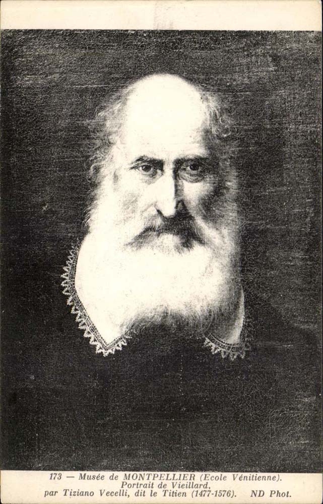 Musee de Montpellier - Ecole Venitienne Portrair de Vieilard par Vecelli dit le Titien CPA 