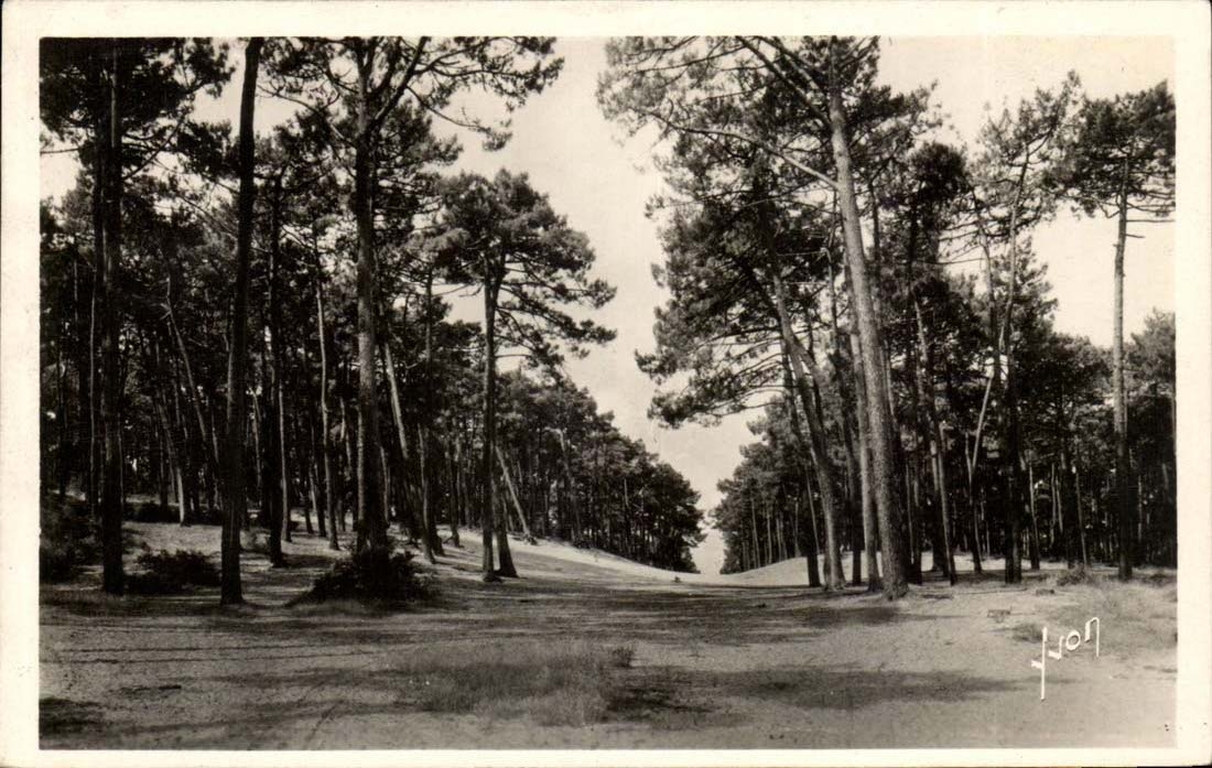 Arcachon - Les dunes de la Ville d'Hiver - CPA 