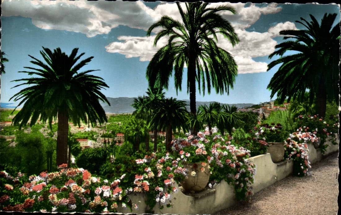 Fetthaltiges - seine exotische Vegetation an der Unterseite das Mittelmeer - CPA