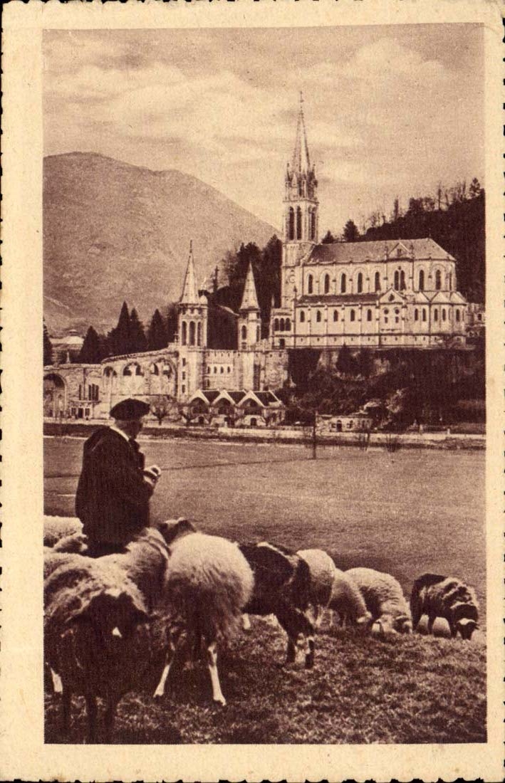 Lourdes CPA the basilica (sheep)