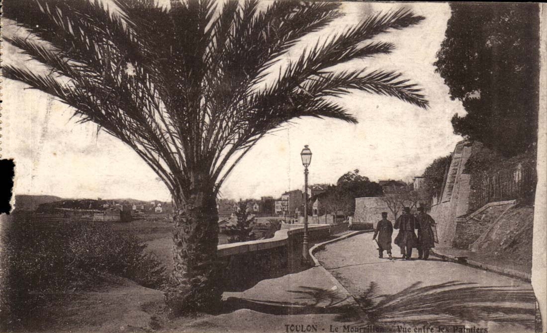 Toulon CPA Mourmillon Seen between the palm trees