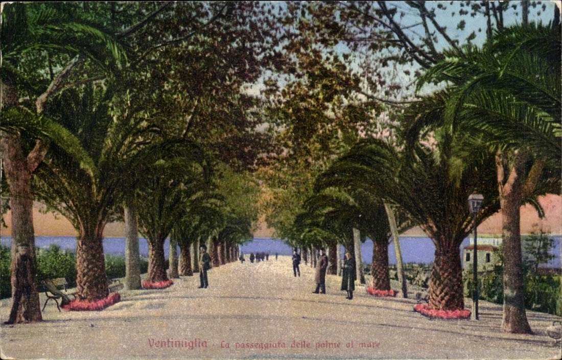Italy Italia VEntimiglia CPA the passeggiata delle matt palm Al