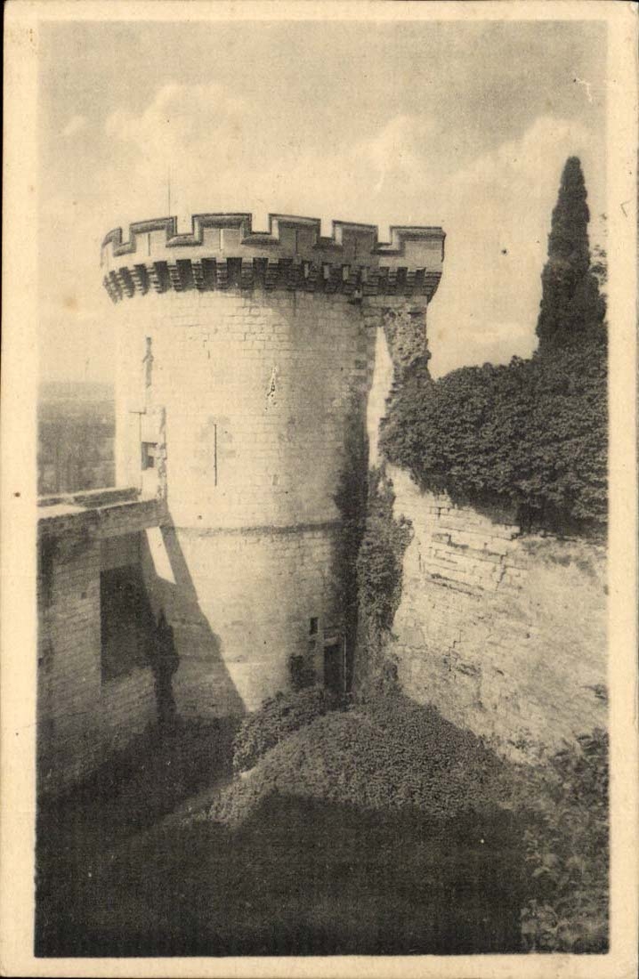 Chinon CPA welches das Schloss und der Aufsatz von Boissy mit einem Graben umgibt