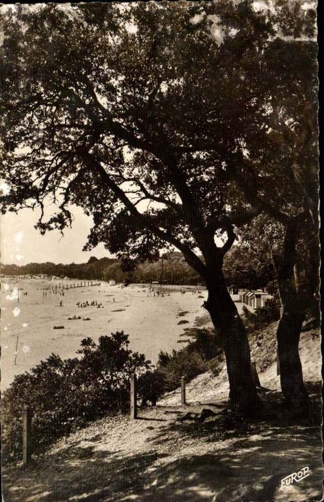 Noirmoutier CPA Plage St hones seen wood of Chaize