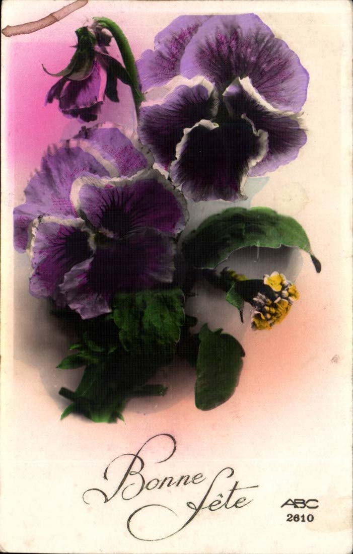 CPA Fantasy Flowers Good festival