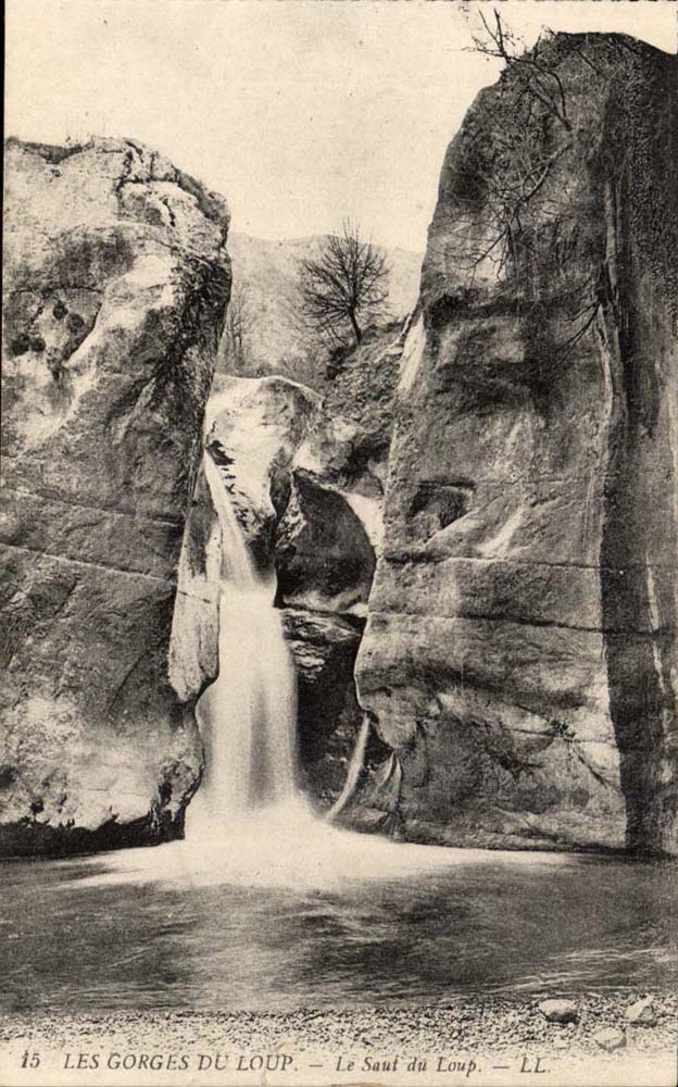 Kehlen des Wolfs CPA der Sprung des Wolfs