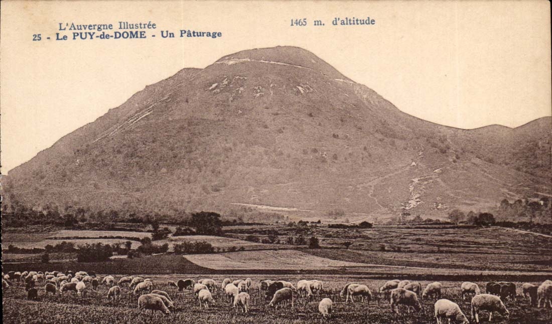 Puy de Dome CPA a pasture (sheep)