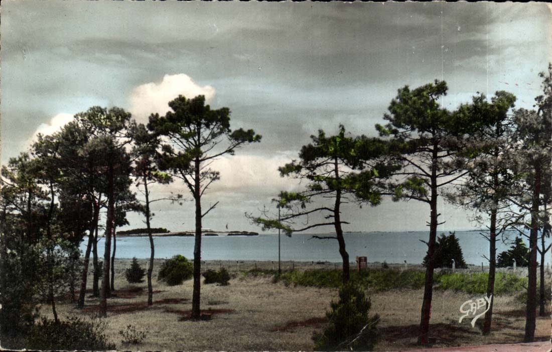 Hafen des Boote MODERNEN KARTEN-Meeres durch die Kiefern