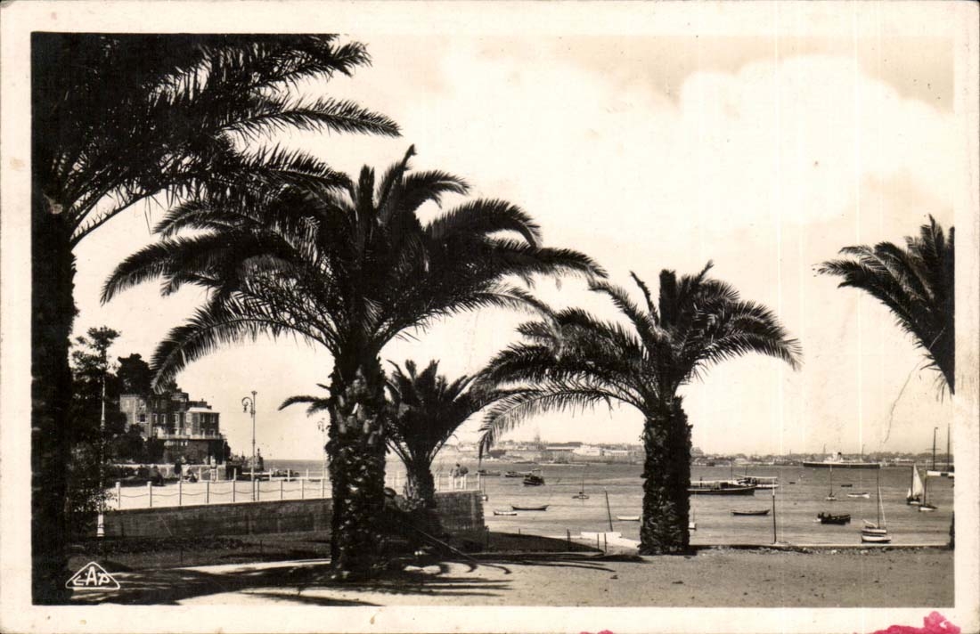 Dinard CPA palm trees At the bottom St Malo on the right Brittany