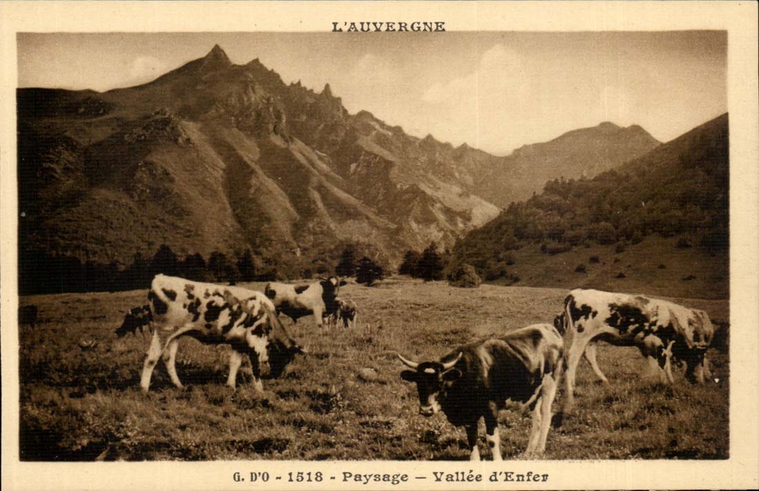 Auvergne CPA Of O Landscape Valley of hell (cows)