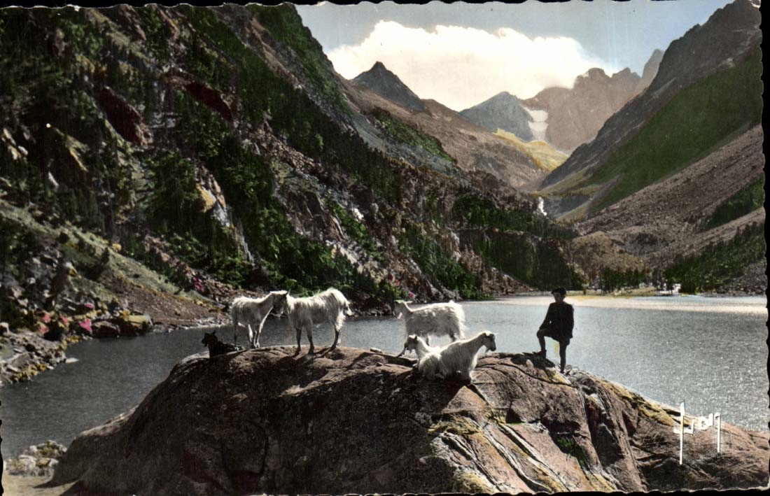 See Gaube CPA der See