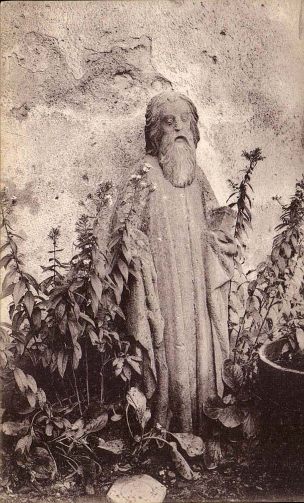 CPA the friend of the plants this saint coming from collegial seems saddens to see its neighbor keep silent by a Thaan shell