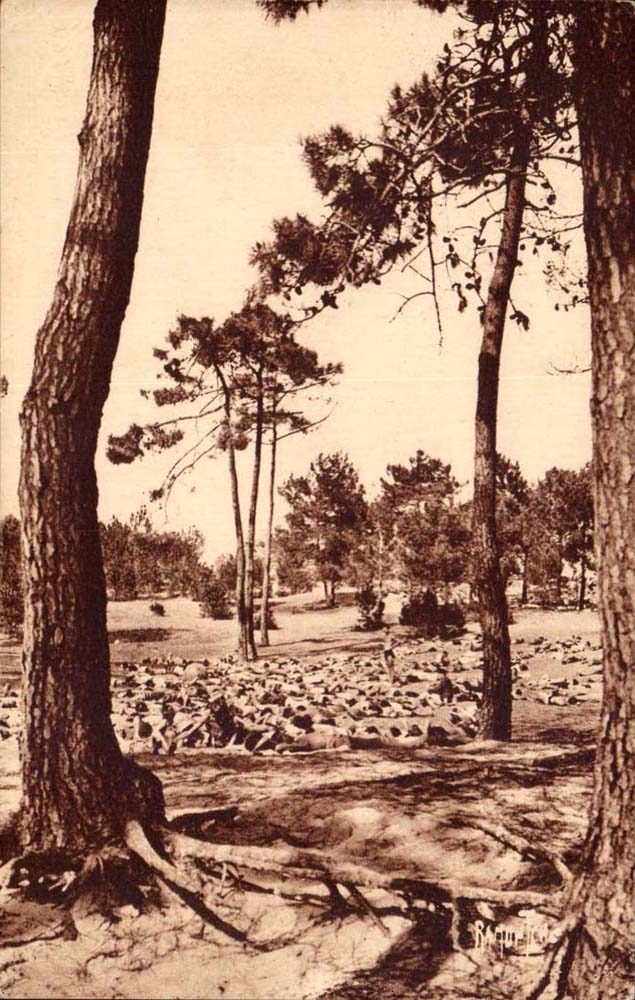 Fleureuse house Island of Oleron CPA the nap under the pines