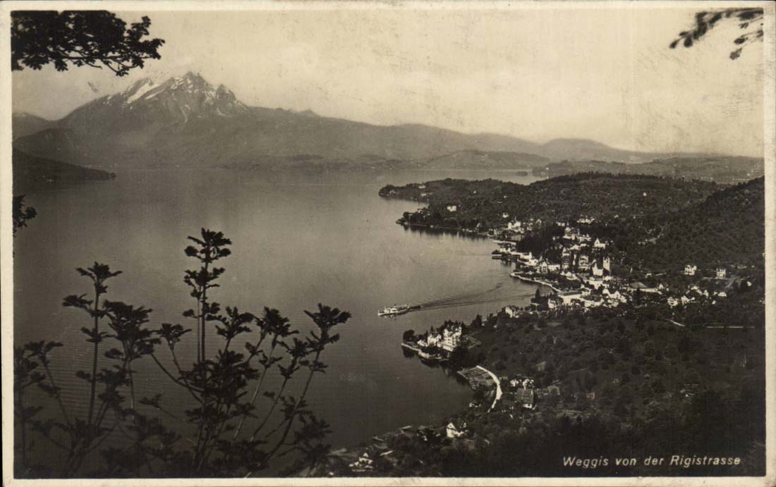 CPSM Suisse Weggis von der Rigistrasse