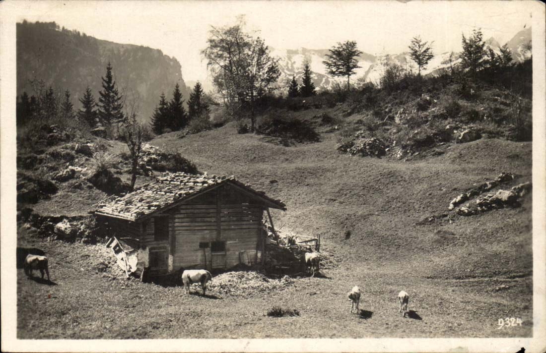 CPSM Cants in the mountain