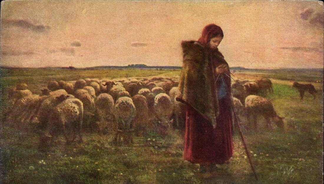 CPA Fantasy Woman and sheep