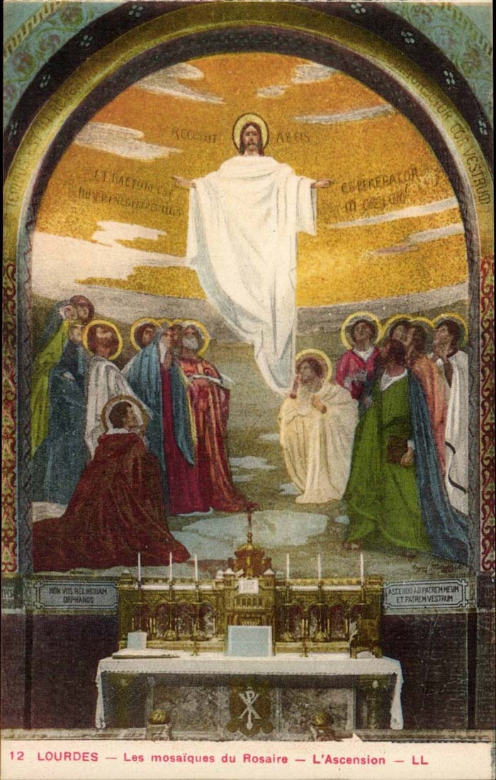 Lourdes CPA Mosaiken des Rosenbeetes das Klettern