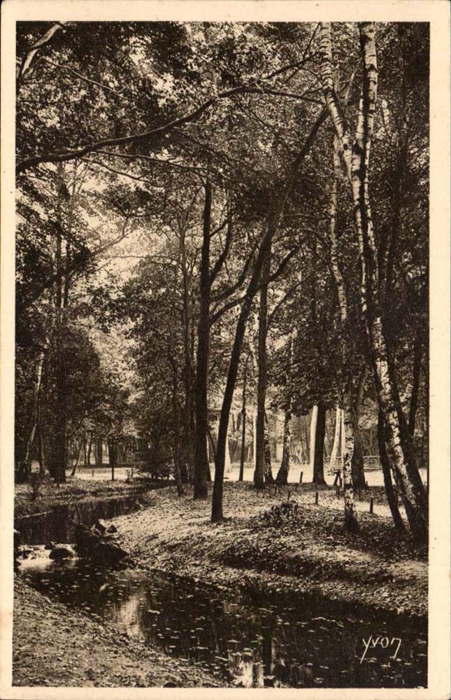 Paris CPA Un coin du Bois de Boulogne