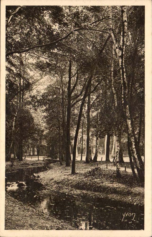 Paris CPA un coin du bois de Boulogne
