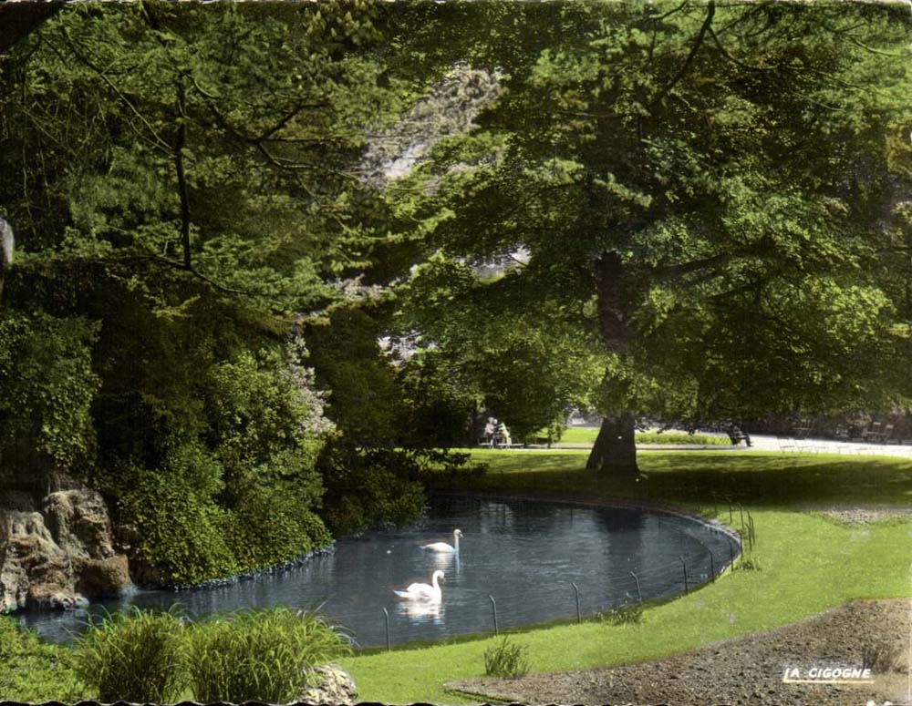 Rouen CPA swans of the garden solferino