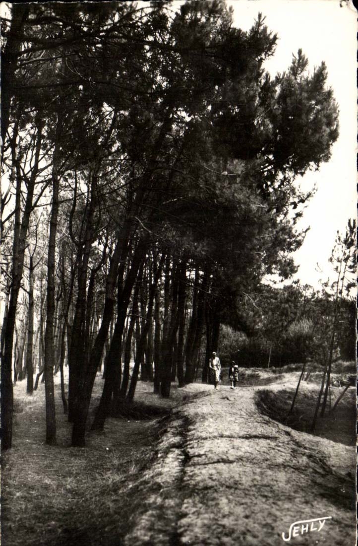 Bretignolles on Sea - the Drill of the Dunes - CPA